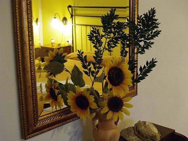 Bauernhof Agriturismo Le Frasche Alberese